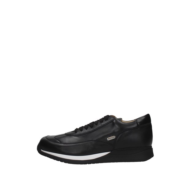 Paciotti Shoes Man Sneakers 65700